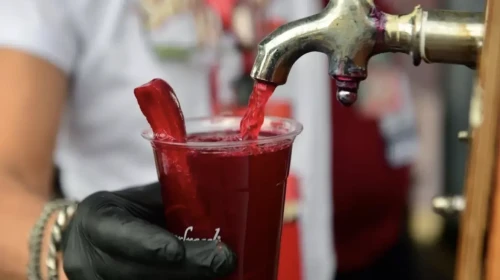 Avrupa Adana Şalgamı'nı tanıyacak: Coğrafi işaret başvurusu kabul edildi