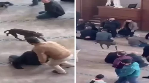 Cami Cemaatine Korku Dolu Anlar Yaşatan Olay İçin Harekete Geçildi