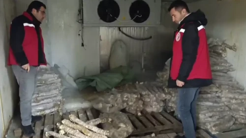 Bakanlık açıkladı: Manisa’da 4 milyon lira değerinde bozulmuş kokoreç imha edildi