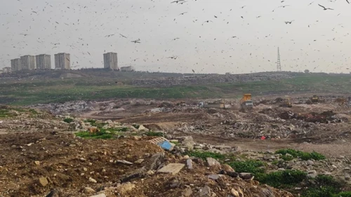 Bursa Büyükşehir Belediyesi'ne 1,9 milyon liralık ceza