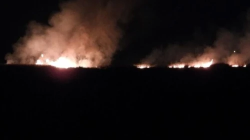 Kuş Cenneti’nde korkutan yangın: Sazlık alan küle döndü