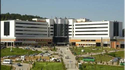 Kocaeli Üniversitesi Arkeoloji Yüksek Lisans başvuru şartları! Kolay başvuru rehberi 2026