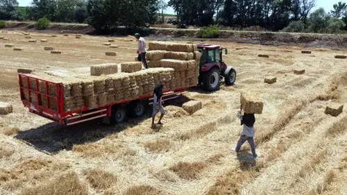Tekirdağ Valiliği duyurdu: Balya bağlama ve açık alanda ateş yakılması yasaklandı