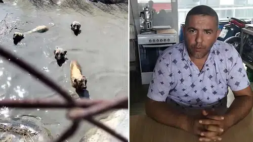 Köpekleri kurtaran kepçe operatörü işten çıkarıldı