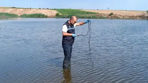 Edirne'de Korucu Göleti'nde balık ölümleri: Numuneler laboratuvara gönderildi