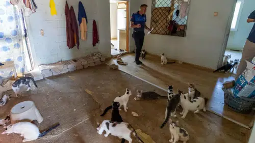 Kokunun nedeni çöp değildi! Ekipler eve girince şoke oldu