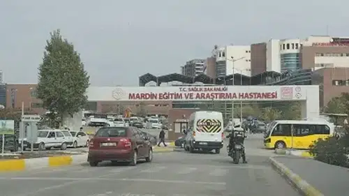 Mardin'de aile faciası: 1 kişi yaşamını yitirdi