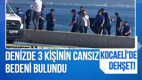 Kocaeli'de sahilde korkunç olay! 1 saat içinde 3 ceset bulundu