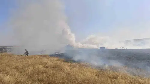 Eskişehir'de arazi yangını: Kontrol altına alındı