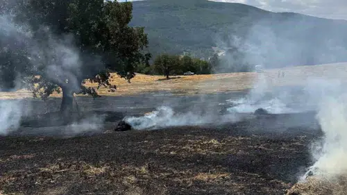 Bolu’da tarlada yangın çıktı: Yangınla ilgili inceleme başlatıldı