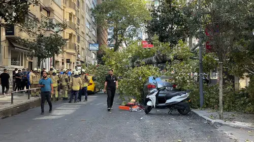 Nişantaşı’nda çınar ağacı iki aracın üzerine düştü