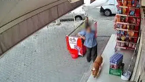 İzmir’de pitbull saldırısı: İşaret parmağı koptu