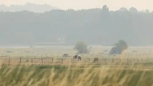 Fransa’da fırtına alarmı: Dolu ve şiddetli yağış bekleniyor