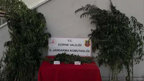 Edirne'de hint keneviri eken şahıs tutuklandı