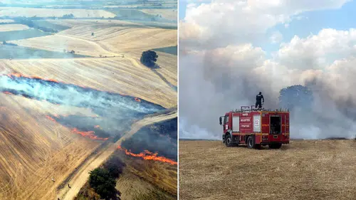 Edirne'de yangın: 1500 dekar arazi zarar gördü