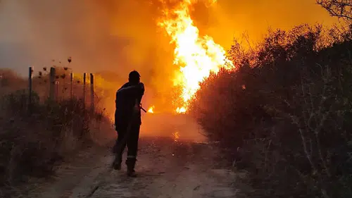 Cezayir’de yangın felaketi: 12 kişi yaşamını yitirdi
