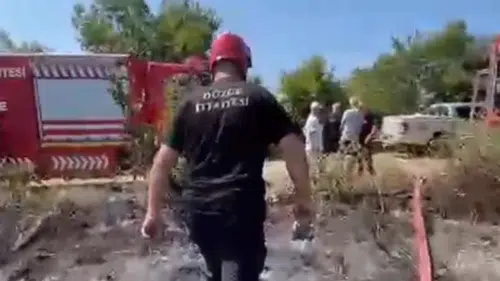 Düzce'de anız yangını: Ormana sıçramadan söndürüldü