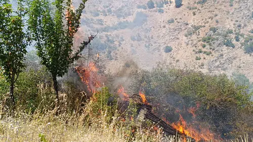Malatya'da yangın: Meyve bahçesi ve üzüm bağları zarar gördü