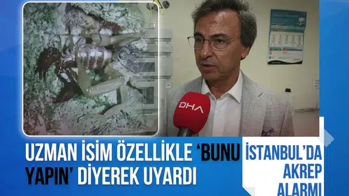 Ayakkabınızı giymeden önce mutlaka bakın! Uzmandan İstanbul için akrep uyarısı