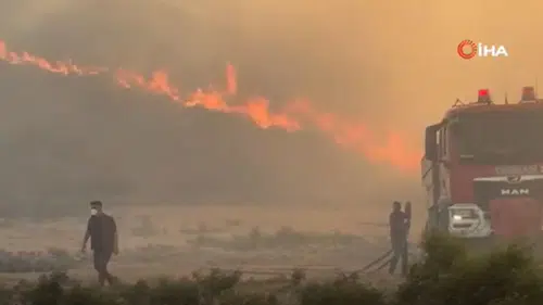 Hatay’da orman yangını! Yerleşim yerlerine yakın noktada çıktı