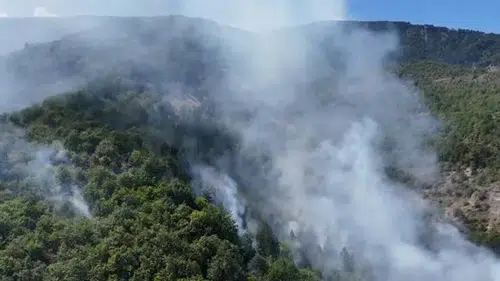 Sinop'taki yangınla ilgili soruşturma: İşletme sahibi tutuklandı