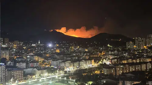 Ankara’da ağaçlık alanda yangın: 8 saat sonra söndürüldü