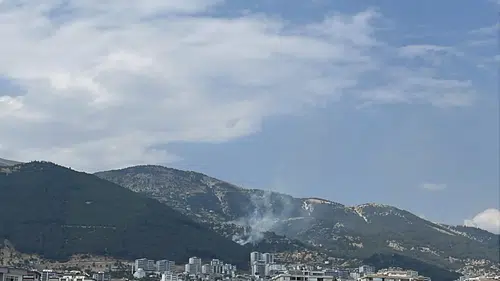 Kahramanmaraş'ta orman yangını: 85 personelle müdahale edildi