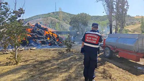 Isparta'da besihane yangını: 4 bin saman balyası yandı