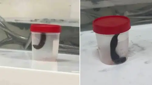 Çeşme suyu tüketenler dikkat! Boğazından çıkanları görenler şaşkına döndü