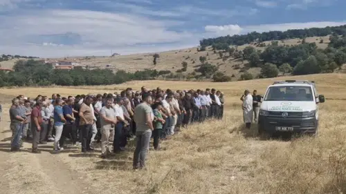 Kene ısırması sonucu rahatsızlanan kadın hayatını kaybetti