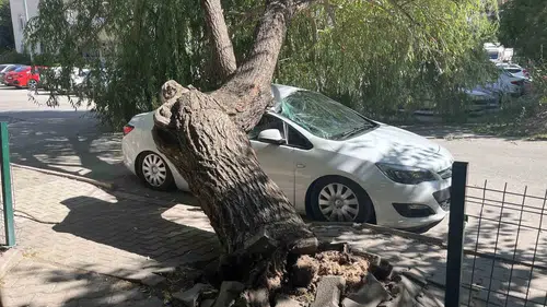 Niğde'de faciaya ramak kala: Sğaç otomobilin üzerine devrildi