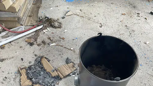 Kayseri’de arı saldırısı: 4 kişi yaralandı