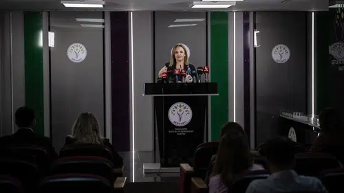DEM Parti Sözcüsü Doğan'dan silahsızlanma açıklaması