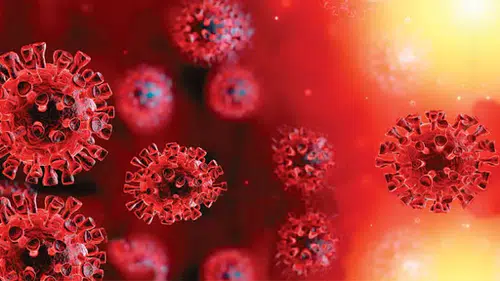 Çin’de yeni virüs alarmı: 7 hasta hayatını kaybetti
