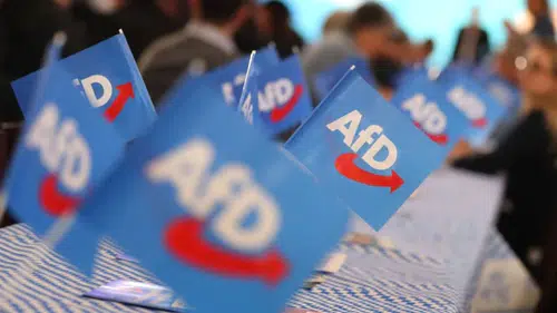 AfD'li liderden olay sözler: Göçmenleri silah zoruyla sınır dışı edeceğiz