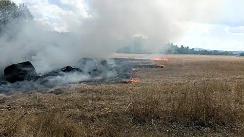Karabük'de anız yangını: İtfaiye ve orman ekipleri müdahale etti