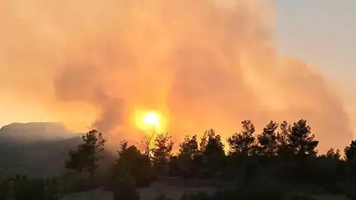 Antalya orman yangını: Müdahale sürüyor