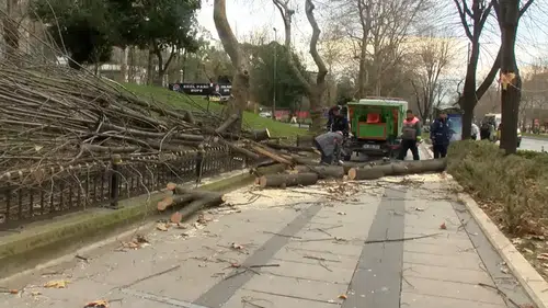İstanbul’da sağanak yağış: Ağaçlar devrildi, rögarlar taştı