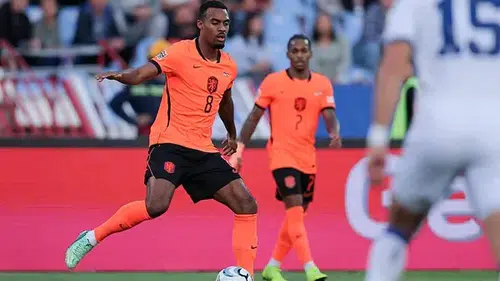 Sırbistan Hollanda maç özeti izle1-2 golleri kim attı?