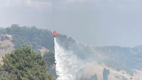 Kahramanmaraş’taki orman yangını: Havadan ve karadan müdahale başlatıldı