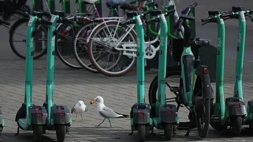 Varşova’da kurallara aykırı park edilen 140’tan fazla skuter çekildi