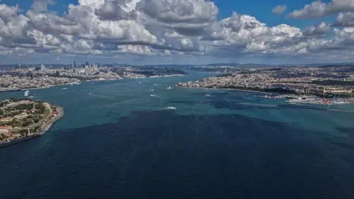 İstanbul Boğazı’nda yağışların ardından alg patlaması meydana geldi
