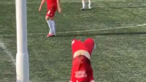 Ordu'da amatör futbolcudan inanılmaz gol sevinci! Tam 11 takla attı
