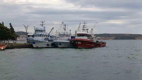 İzmir'de şiddetli poyraz nedeniyle balıkçılar denize açılamadı