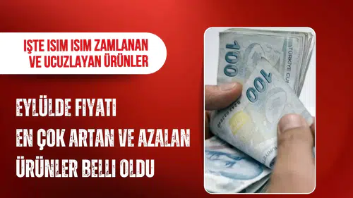 Eylülde fiyatı en çok artan ve düşen ürünler belli oldu