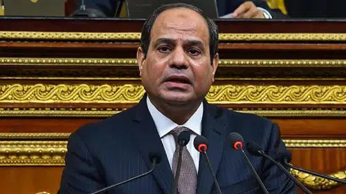 Sisi Afrika ülkelerine işbirliği çağrısında bulundu