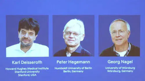 Karl Deisseroth kimdir, kaç yaşında ve 2026 Nobel Tıp Ödülü'nü nasıl kazandı?