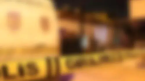 İzmir Urla'da Anne ve Zihinsel Engelli Oğlu Evlerinde Ölü Bulundu
