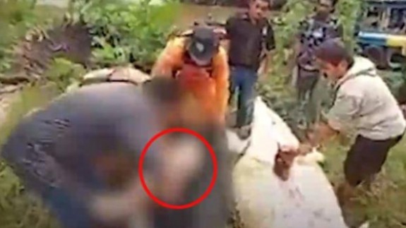 Dev timsah 8 yaşındaki çocuğu yuttu!