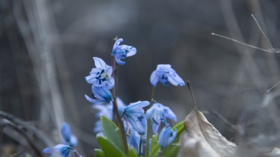 Sarp dağların arasındaki Pülümür Vadisi doğasıyla ziyaretçilerini cezbediyor